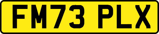FM73PLX