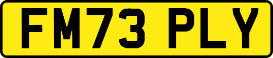 FM73PLY