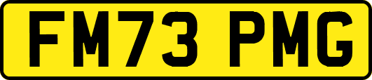 FM73PMG