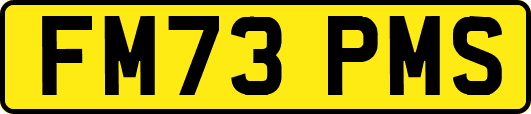 FM73PMS