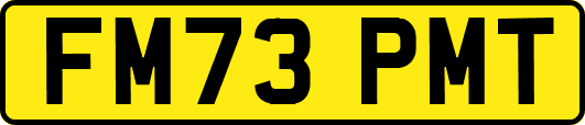 FM73PMT