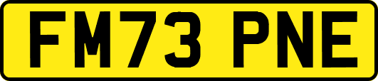 FM73PNE