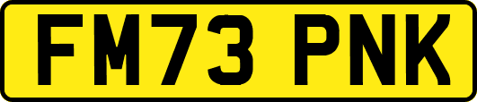 FM73PNK