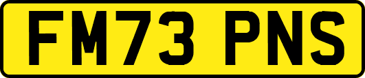FM73PNS