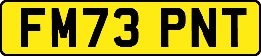FM73PNT