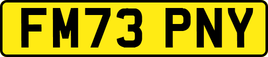FM73PNY