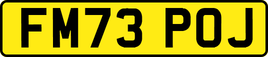 FM73POJ