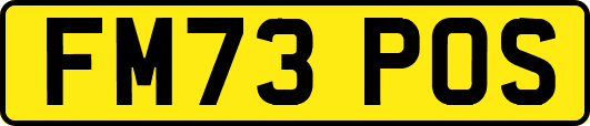 FM73POS