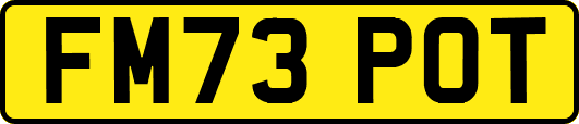 FM73POT