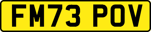 FM73POV