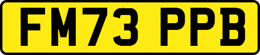 FM73PPB