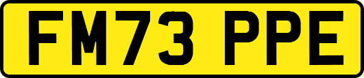 FM73PPE