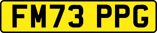 FM73PPG