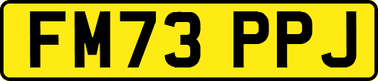 FM73PPJ