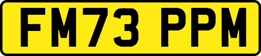 FM73PPM