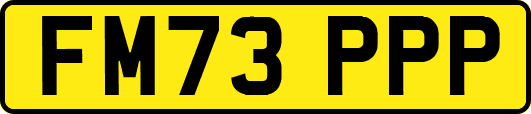 FM73PPP