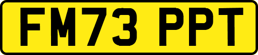FM73PPT