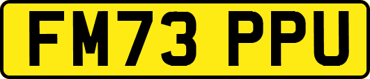 FM73PPU