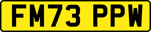 FM73PPW