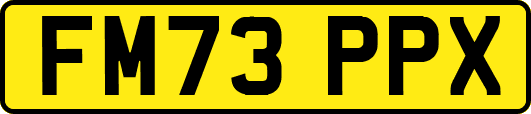 FM73PPX