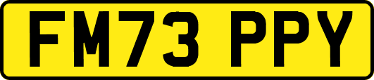 FM73PPY