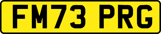 FM73PRG