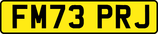 FM73PRJ