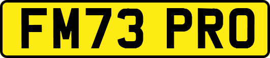 FM73PRO