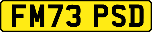 FM73PSD