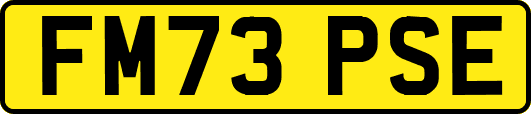 FM73PSE
