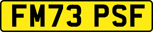 FM73PSF