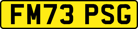 FM73PSG