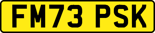 FM73PSK