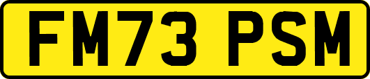 FM73PSM