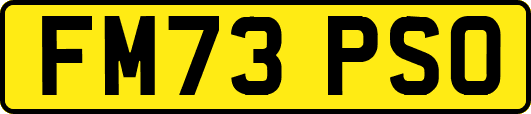 FM73PSO