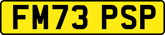 FM73PSP