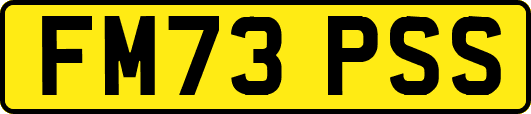 FM73PSS