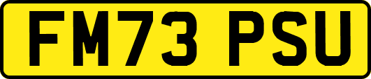 FM73PSU