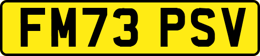 FM73PSV