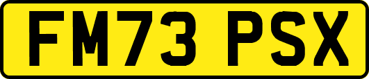 FM73PSX