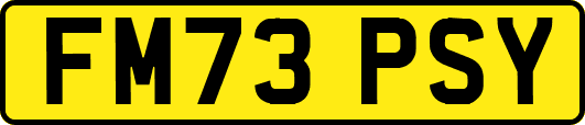 FM73PSY