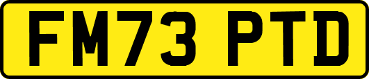 FM73PTD