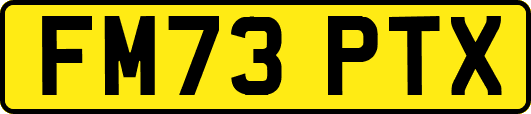 FM73PTX