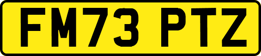 FM73PTZ