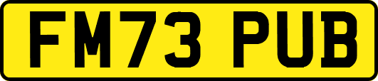 FM73PUB