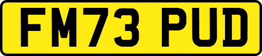 FM73PUD
