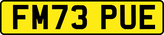 FM73PUE