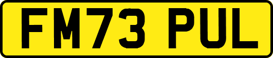 FM73PUL