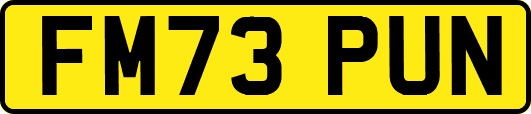 FM73PUN