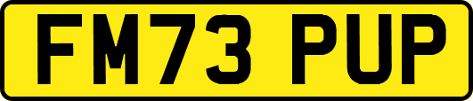 FM73PUP